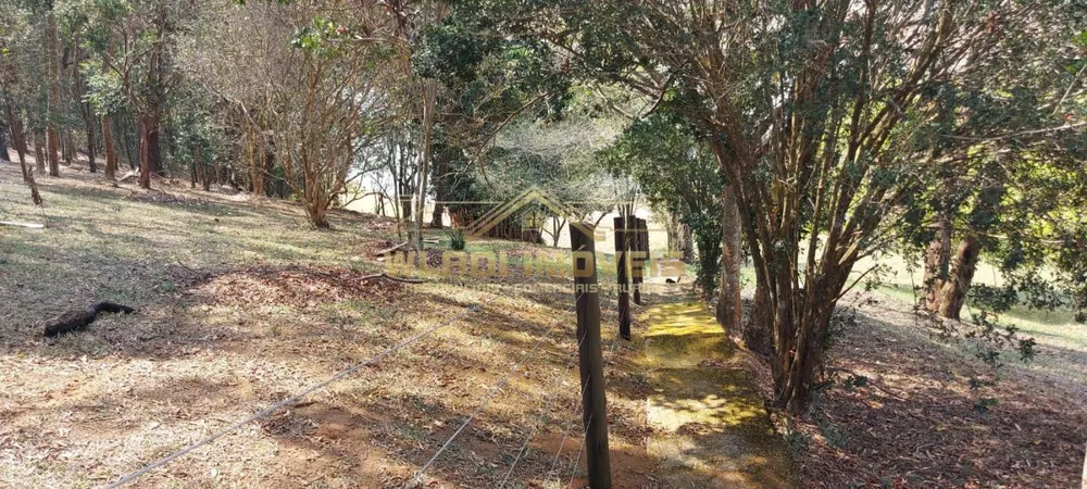Chácara, 5 quartos, 2 hectares - Foto 12