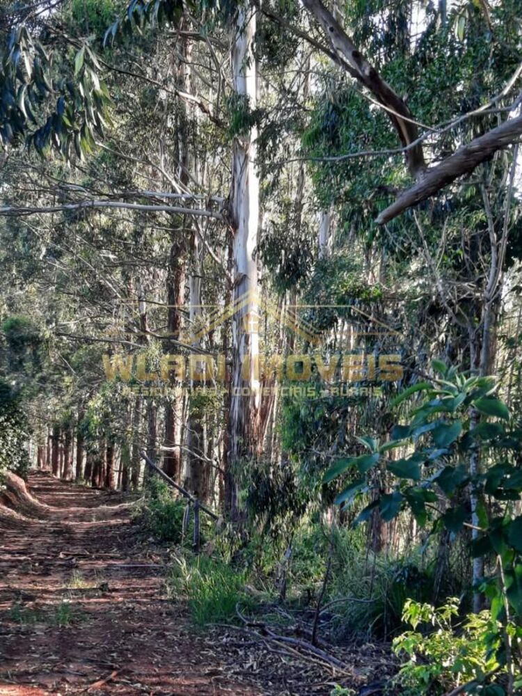 Fazenda à venda, 67m² - Foto 8