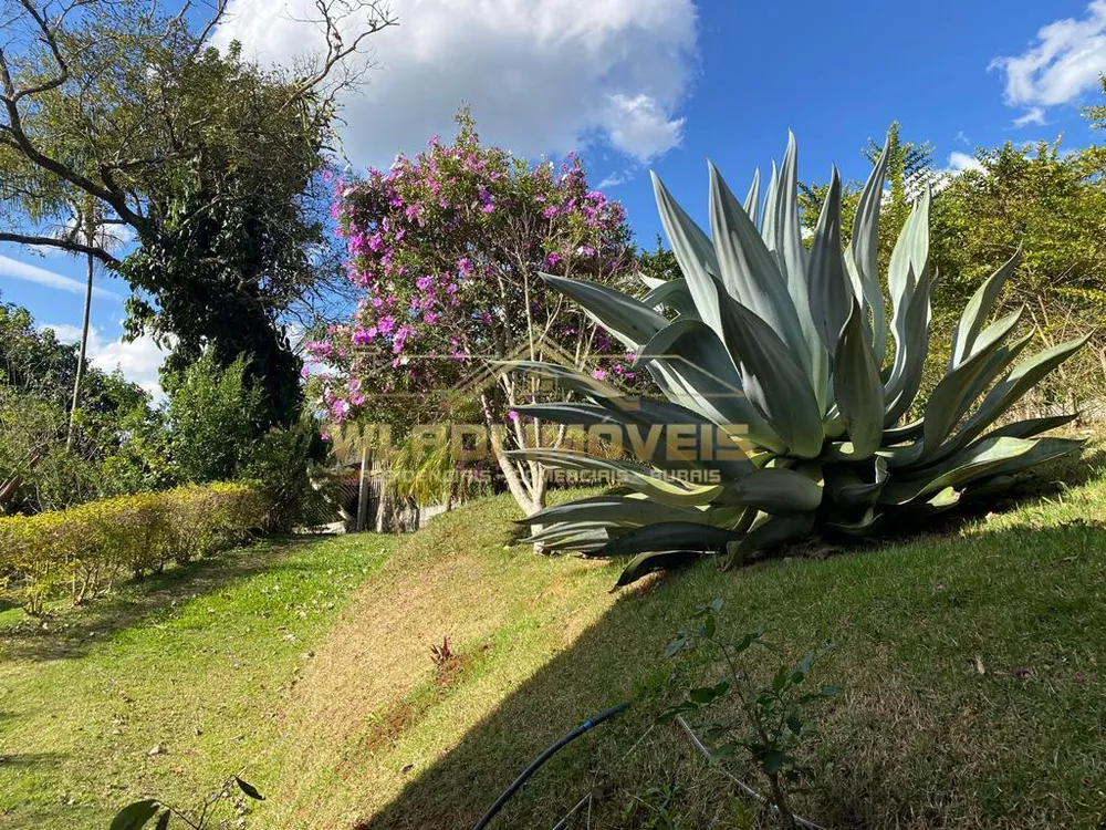 Chácara, 6000 m² - Foto 12