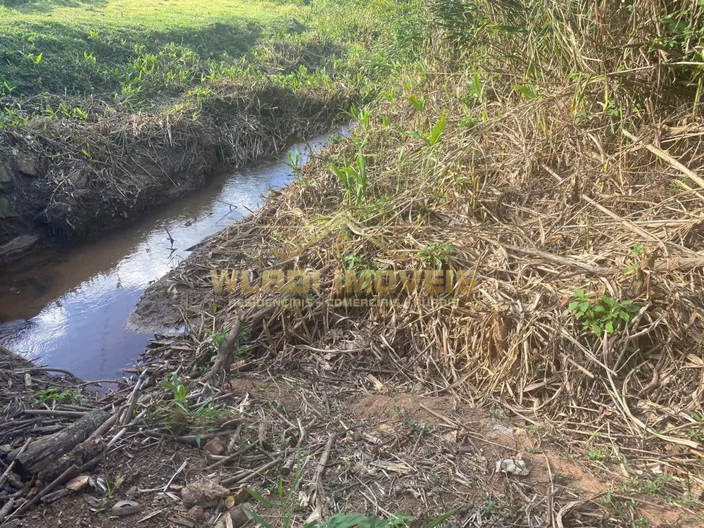 Chácara, 6000 m² - Foto 24