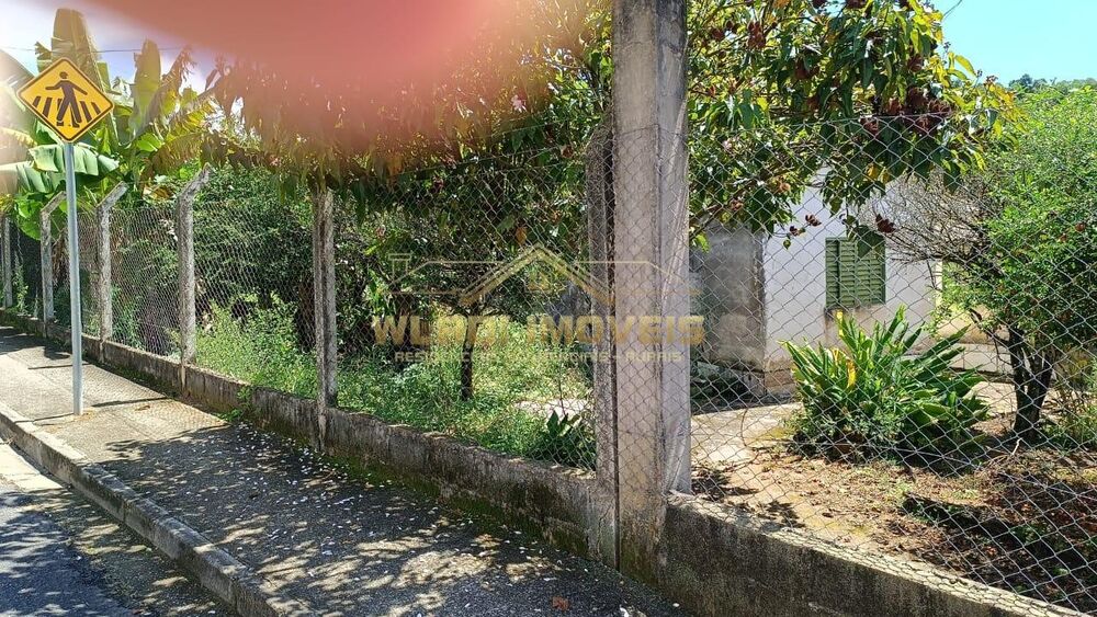 Chácara, 4 quartos, 5000 m² - Foto 10