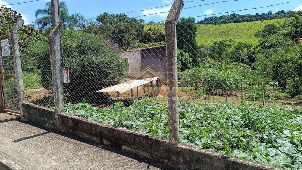 Chácara, 4 quartos, 5000 m² - Foto 12