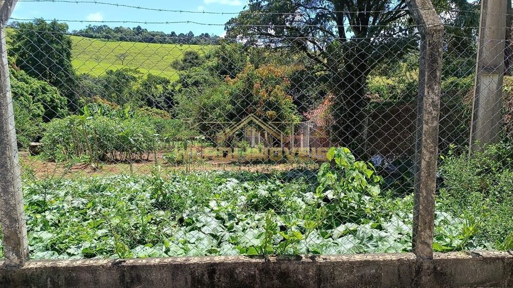 Chácara, 4 quartos, 5000 m² - Foto 9