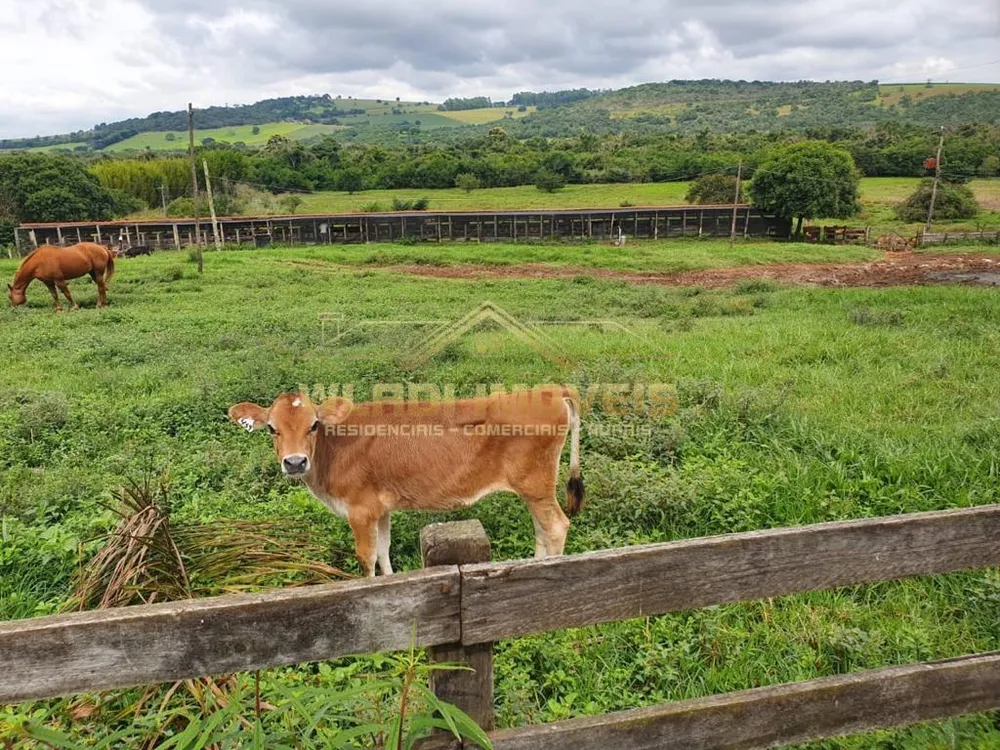 Fazenda, 503 m² - Foto 3