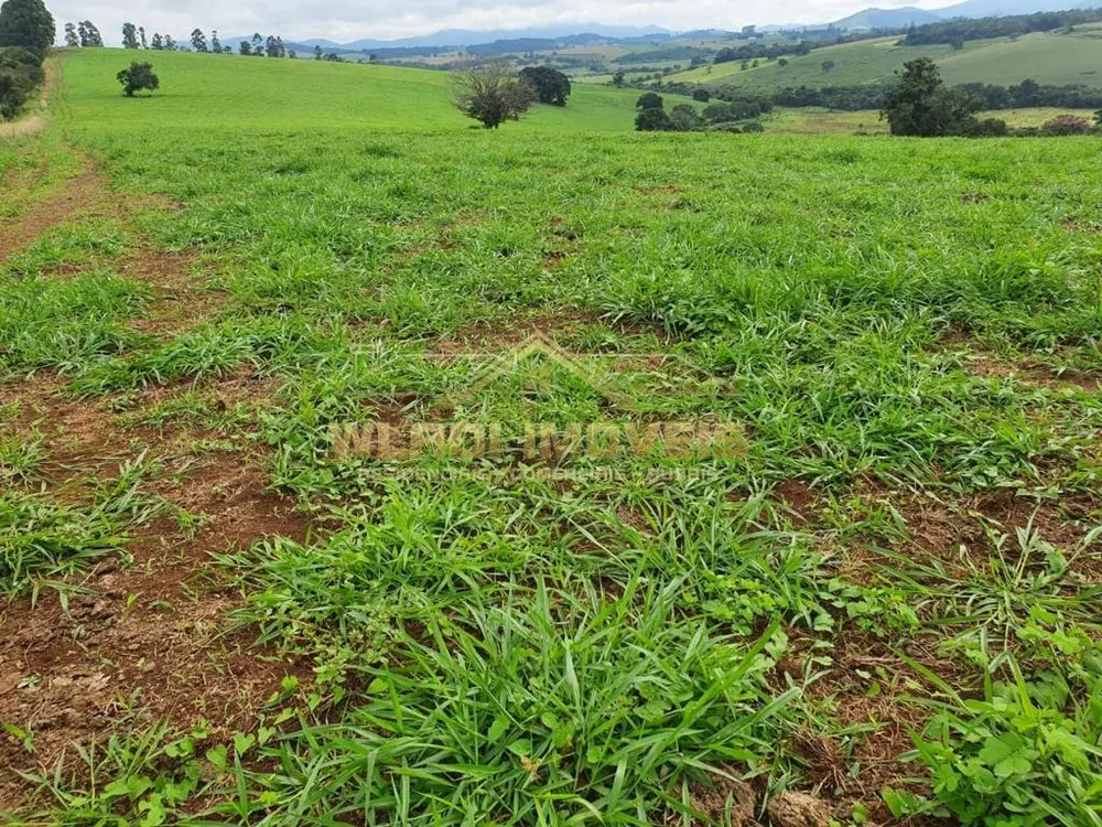 Fazenda, 503 m² - Foto 2