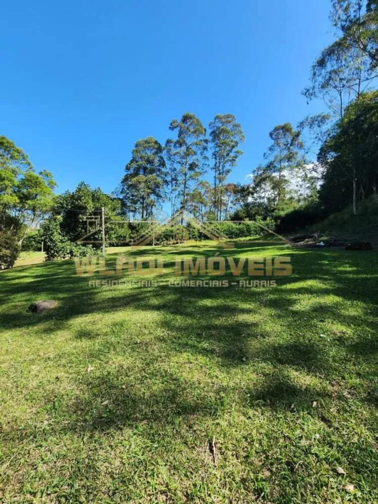 Chácara, 4 hectares - Foto 4