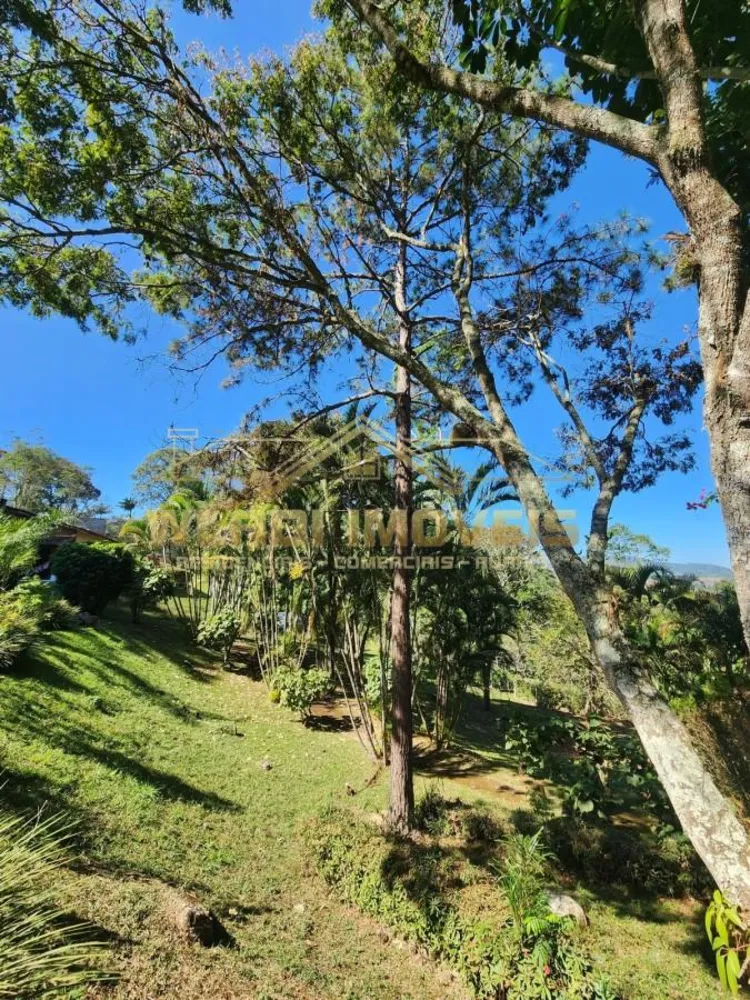 Chácara, 4 hectares - Foto 3
