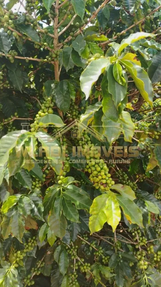 Fazenda, 49 m² - Foto 5