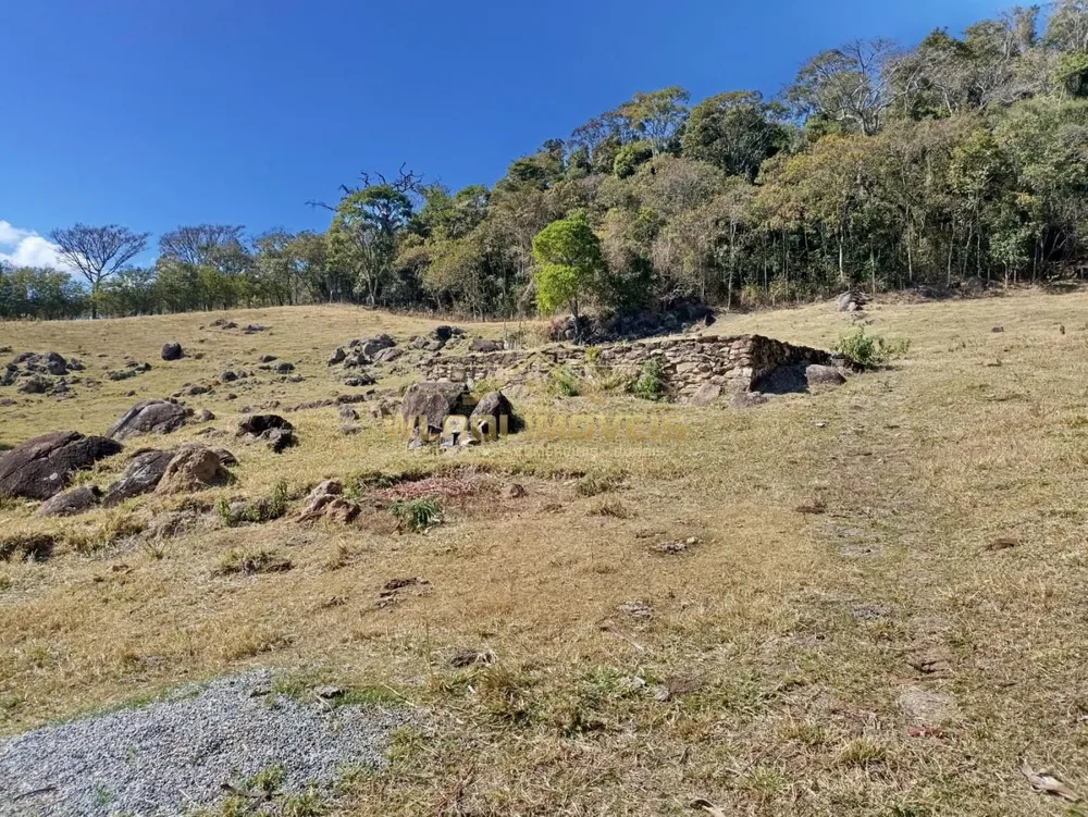 Chácara, 5 quartos, 4 hectares - Foto 13