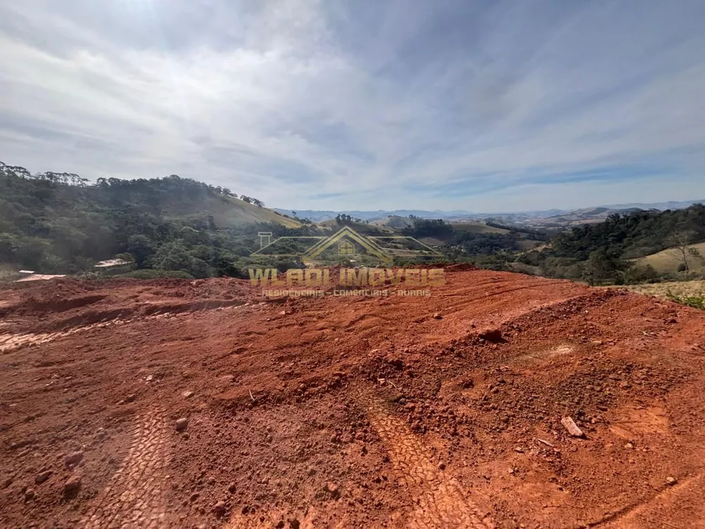 Terreno, 4 hectares - Foto 11