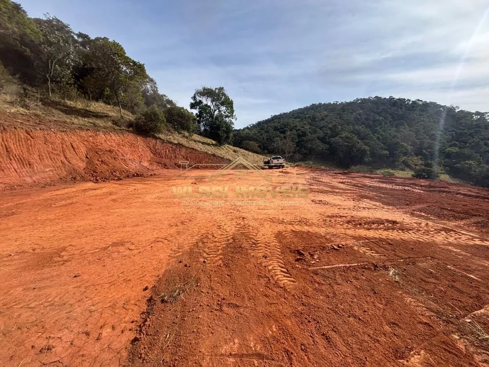 Terreno, 4 hectares - Foto 14