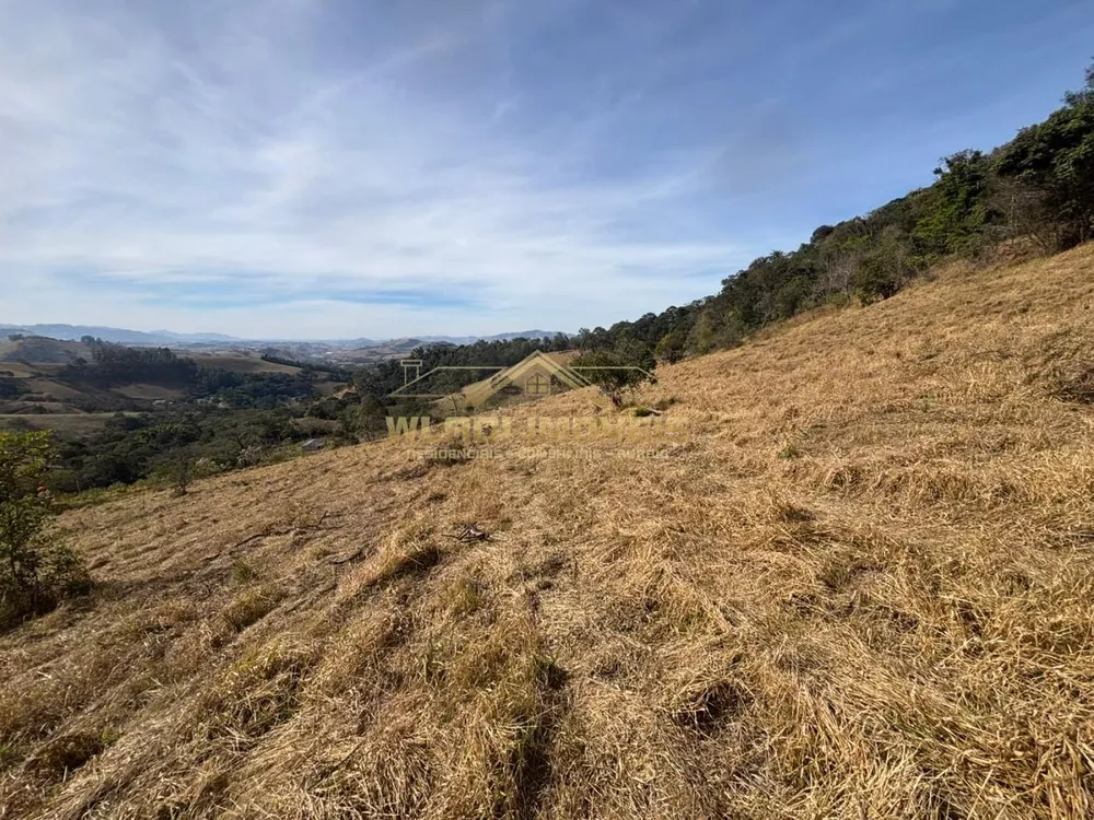 Terreno, 4 hectares - Foto 18