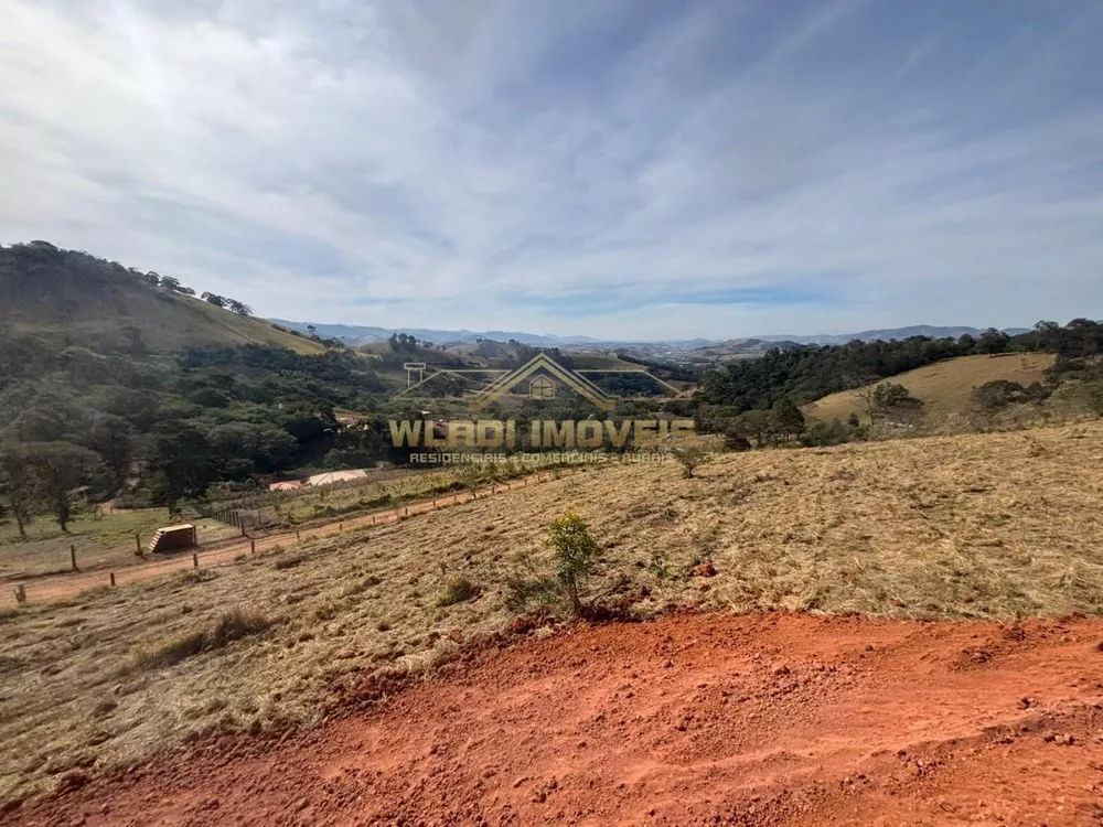 Terreno, 4 hectares - Foto 10