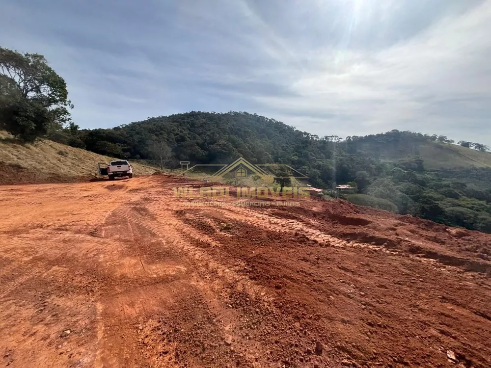 Terreno, 4 hectares - Foto 9