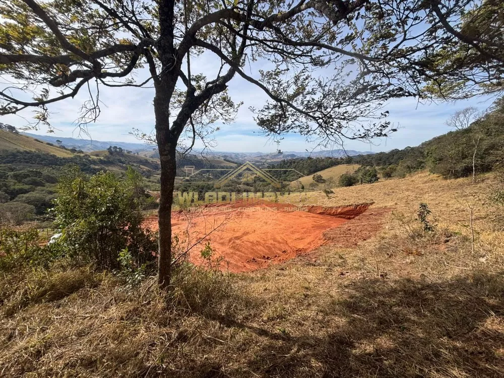 Terreno, 4 hectares - Foto 17