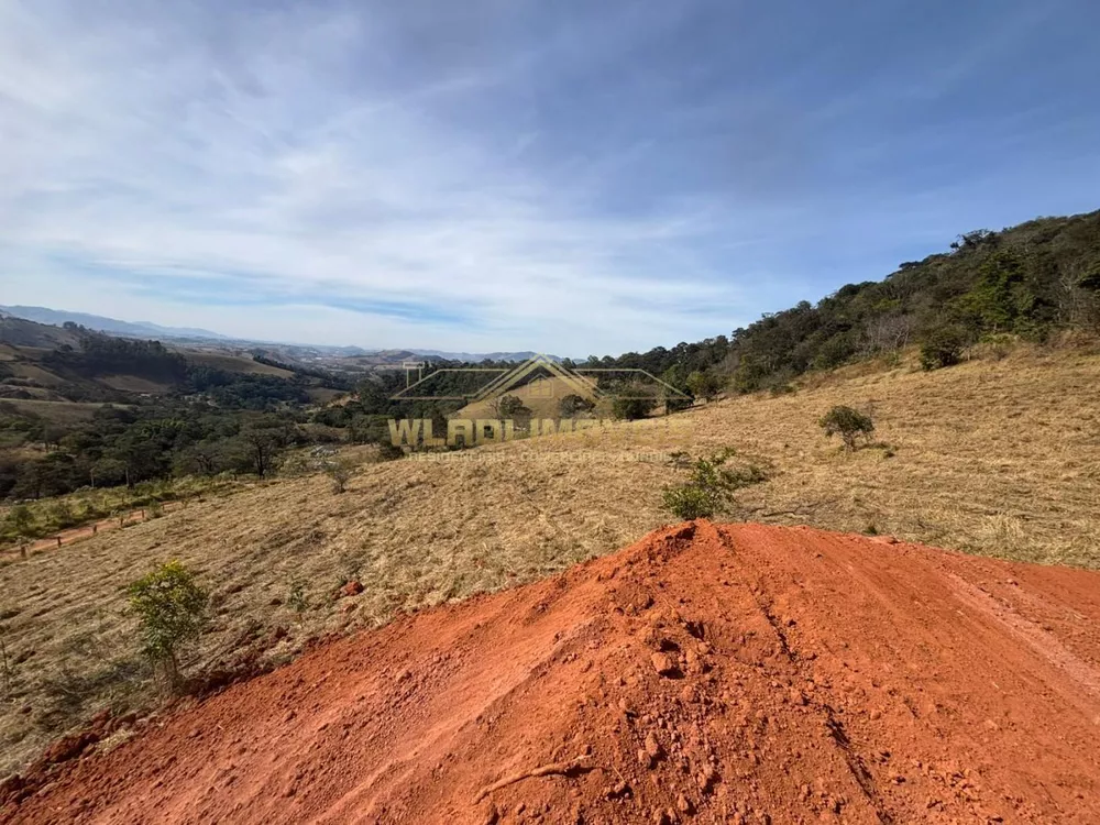 Terreno, 4 hectares - Foto 8