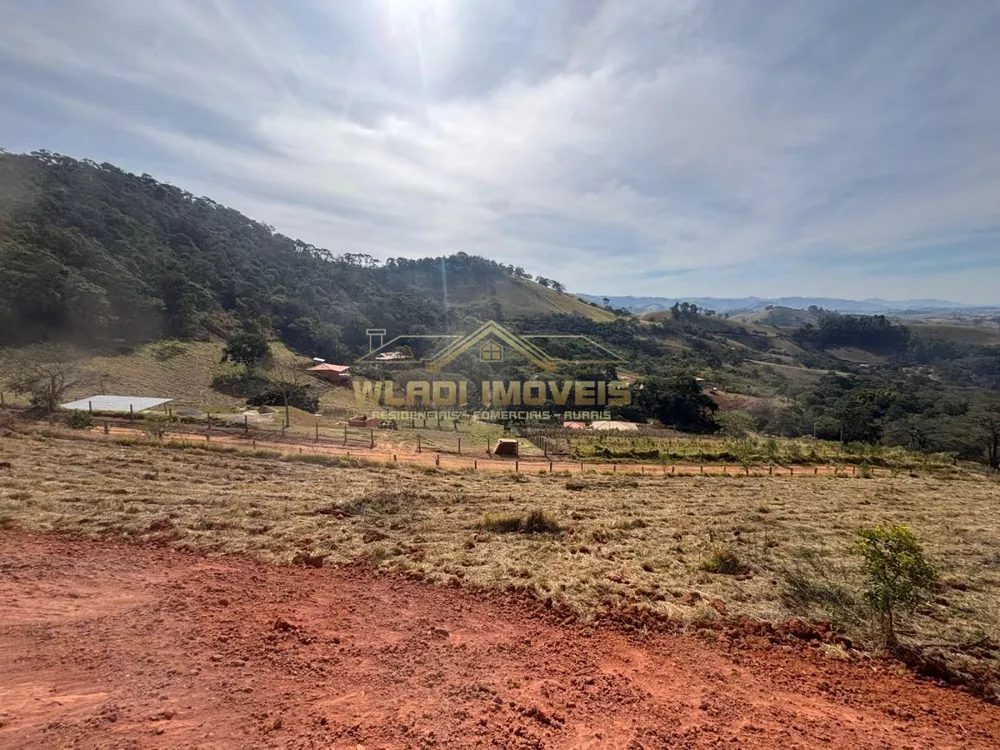 Terreno, 4 hectares - Foto 6