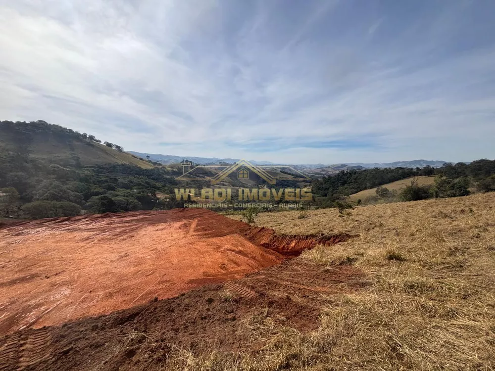 Terreno, 4 hectares - Foto 13