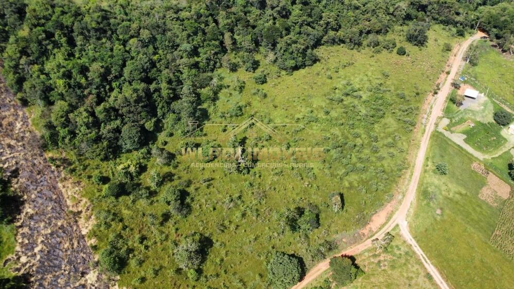 Terreno, 4 hectares - Foto 4