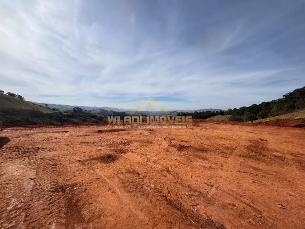 Terreno, 4 hectares - Foto 19