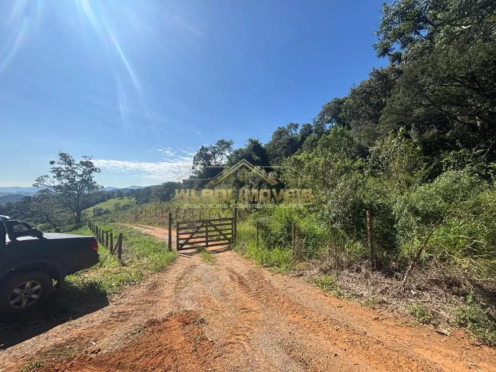 Terreno, 4 hectares - Foto 5