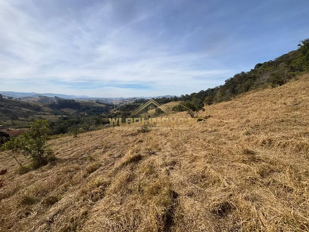 Terreno, 4 hectares - Foto 12