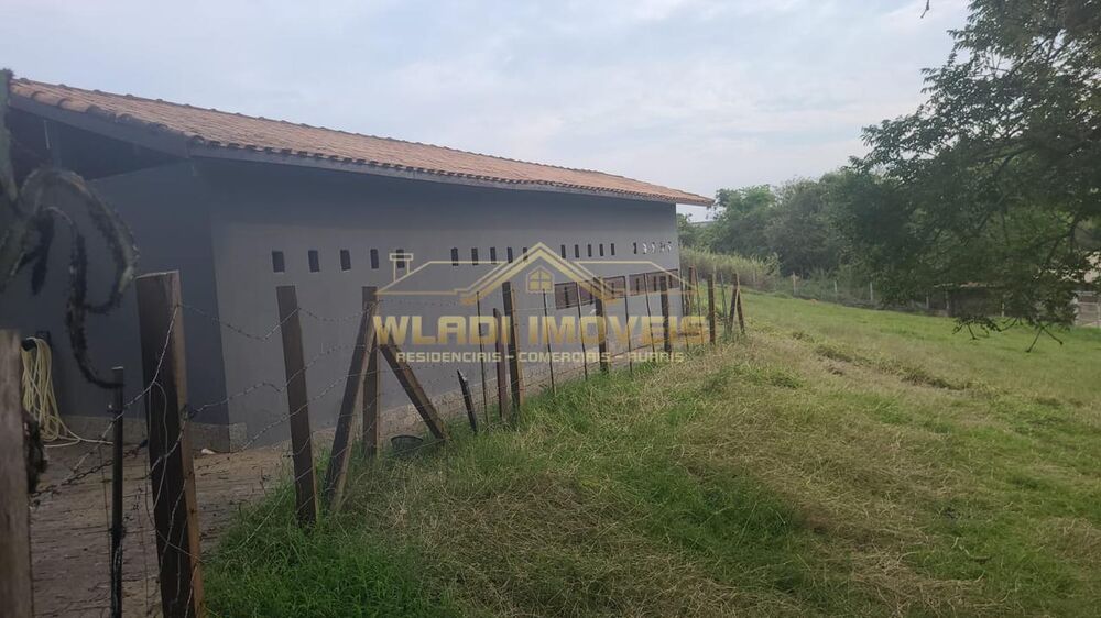 Sítio, 4 hectares - Foto 12