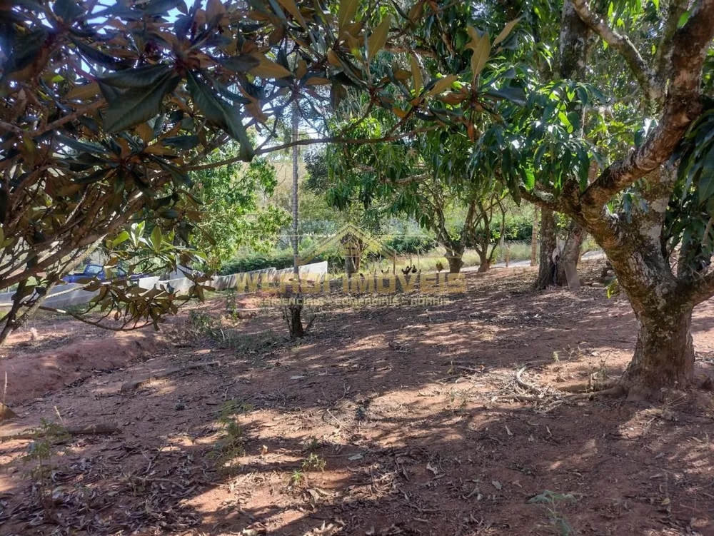 Chácara, 4 quartos, 4300 m² - Foto 18