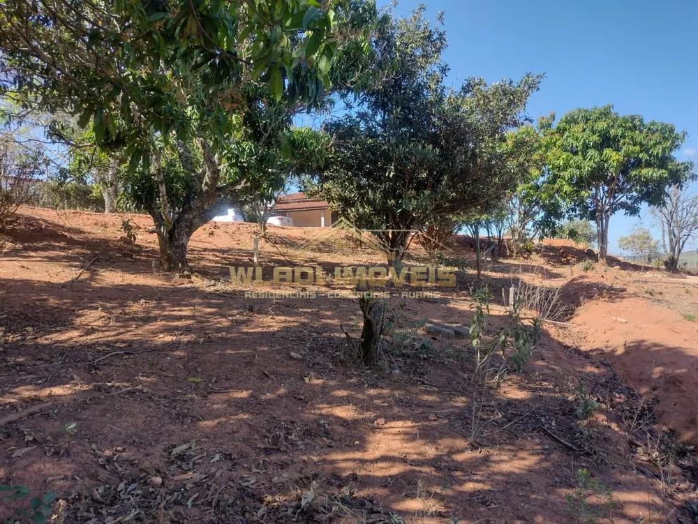 Chácara, 4 quartos, 4300 m² - Foto 24