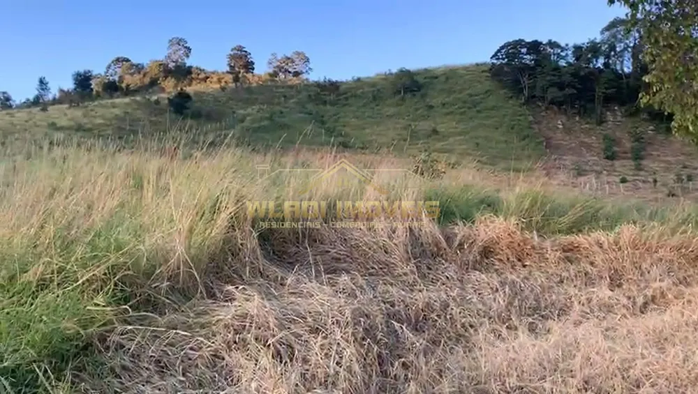Terreno, 3 hectares - Foto 8