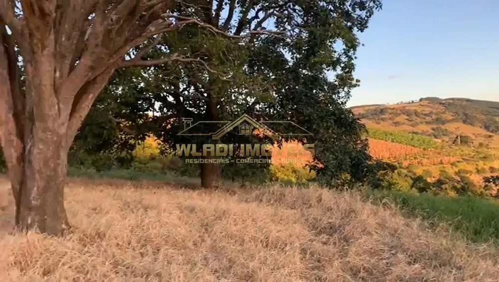 Terreno, 3 hectares - Foto 6