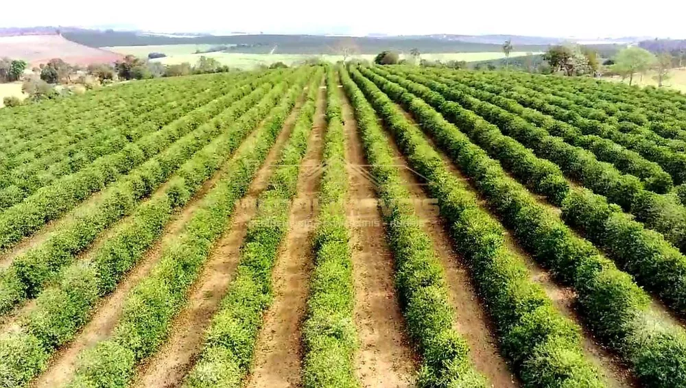 Fazenda à venda, 25m² - Foto 3