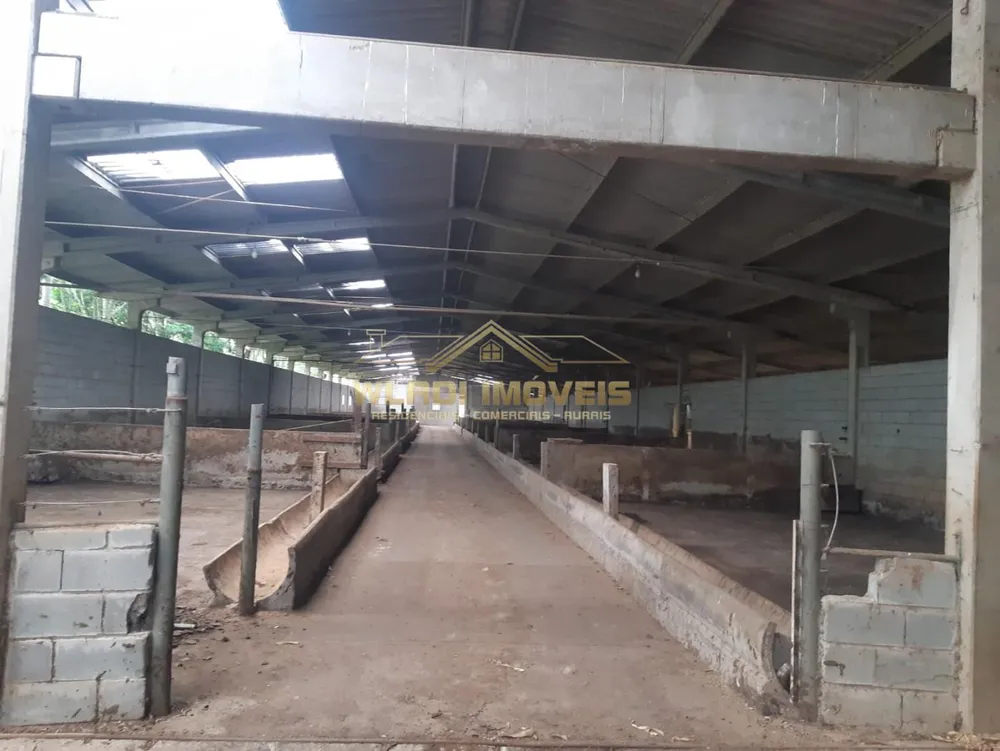 Fazenda, 60 m² - Foto 2