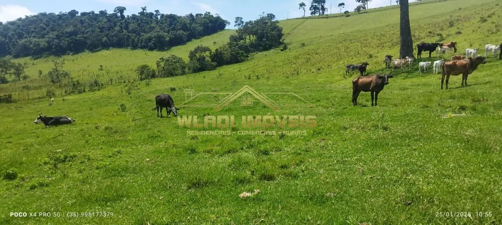 Fazenda, 60 m² - Foto 3