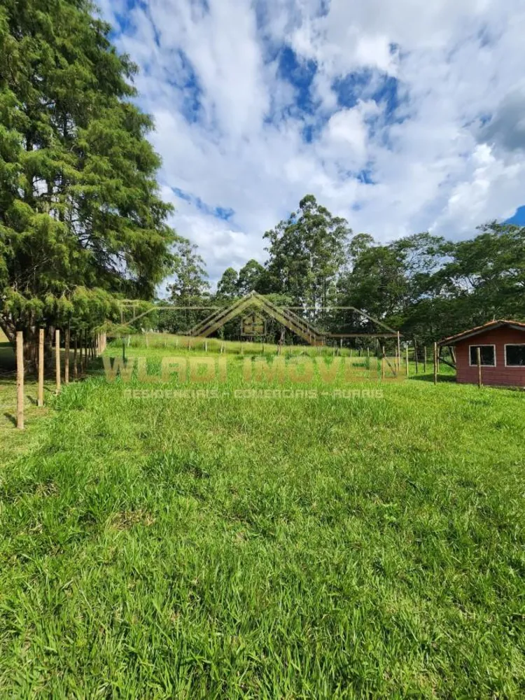 Sítio, 2 hectares - Foto 8