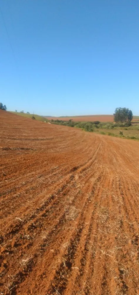 Fazenda, 88 m² - Foto 8
