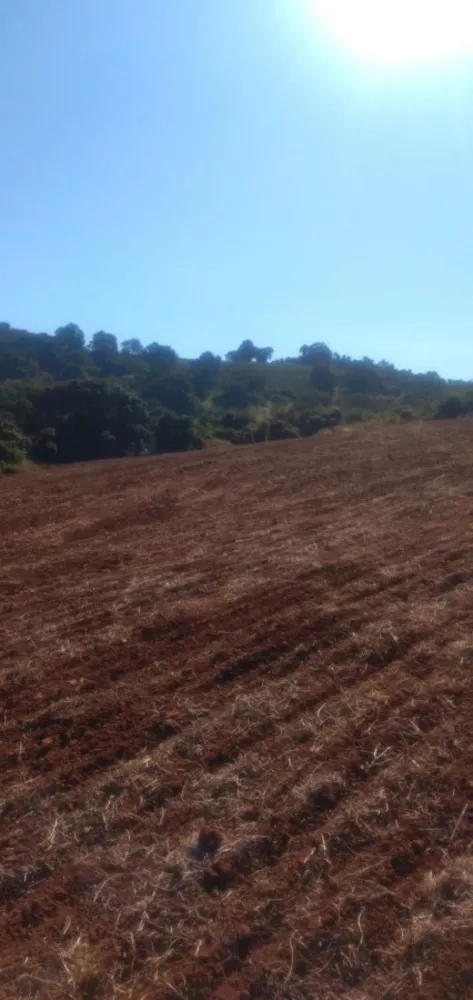 Fazenda, 88 m² - Foto 5