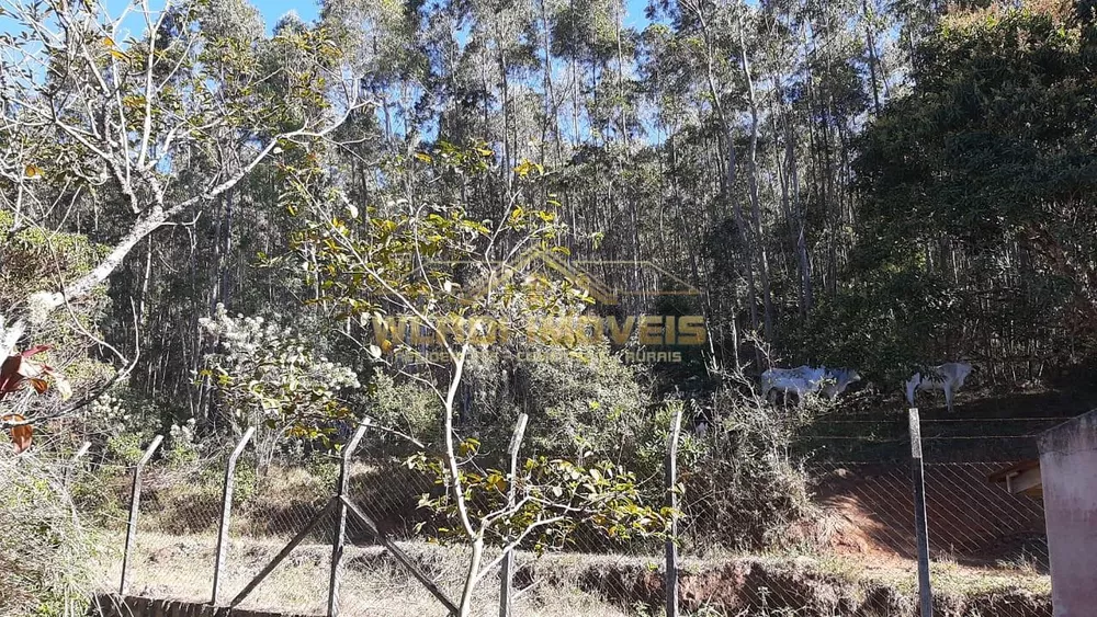 Sítio, 24 m² - Foto 7