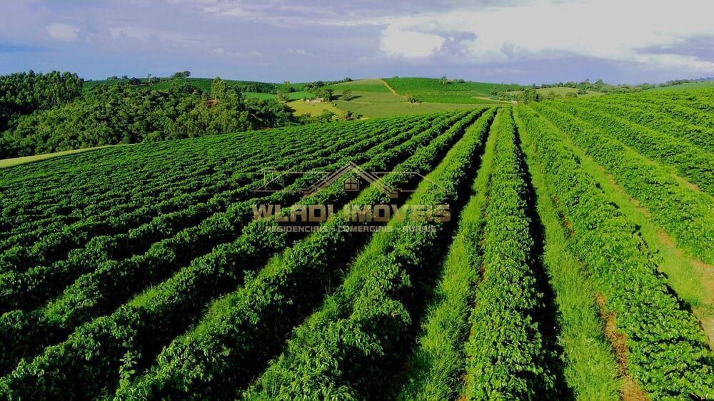 Fazenda à venda, 40m² - Foto 7