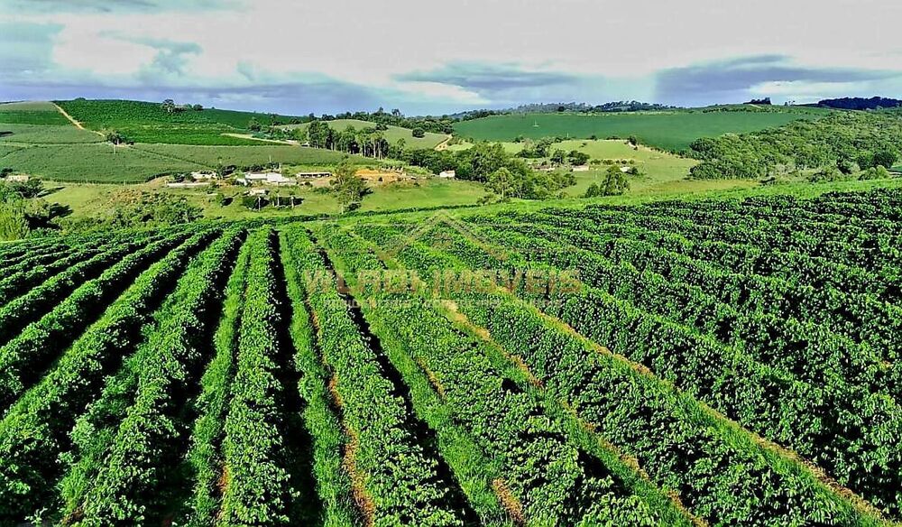 Fazenda à venda, 40m² - Foto 22