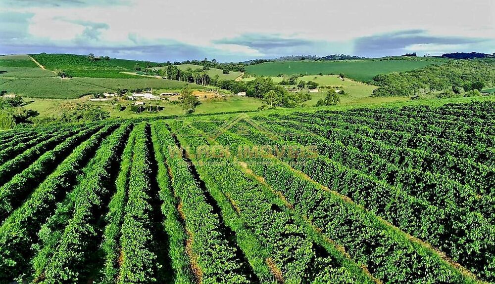Fazenda à venda, 40m² - Foto 19