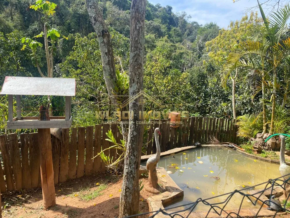 Chácara, 4500 m² - Foto 7