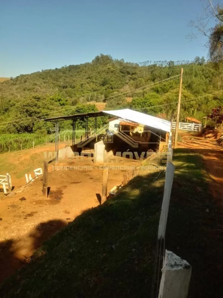Sítio, 3 quartos, 25 m² - Foto 14