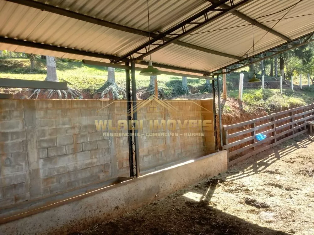 Sítio, 3 quartos, 25 m² - Foto 6