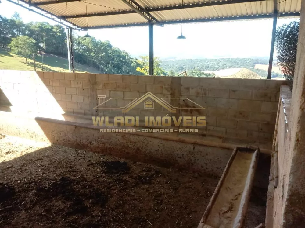 Sítio, 3 quartos, 25 m² - Foto 11