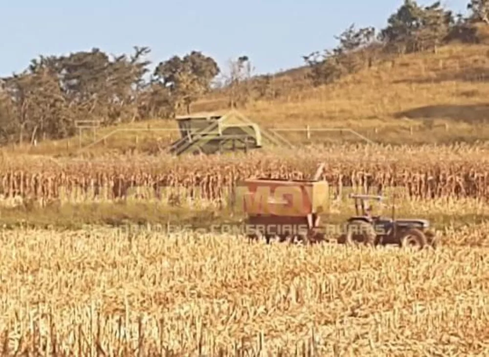 Fazenda, 319 m² - Foto 1