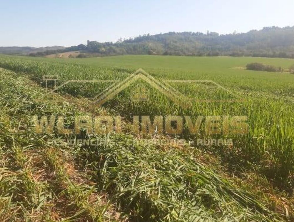 Fazenda, 319 m² - Foto 8