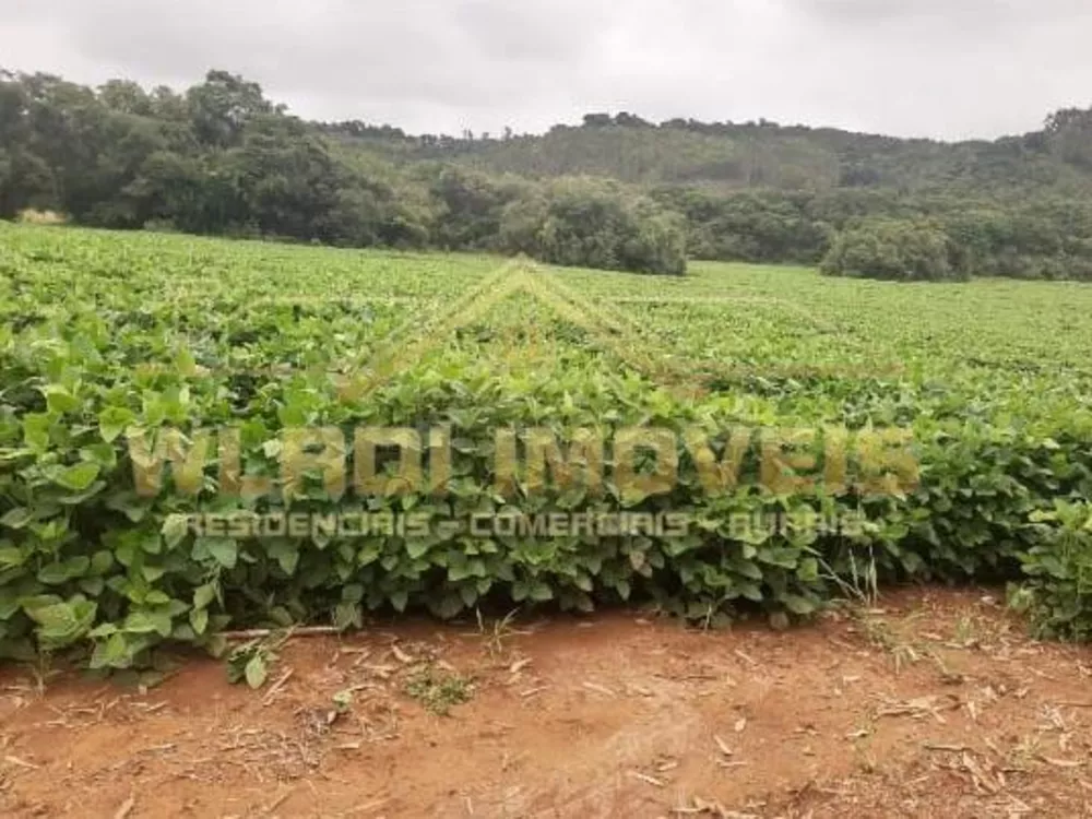 Fazenda, 319 m² - Foto 4