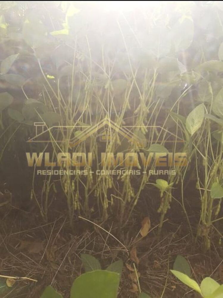 Fazenda, 319 m² - Foto 6