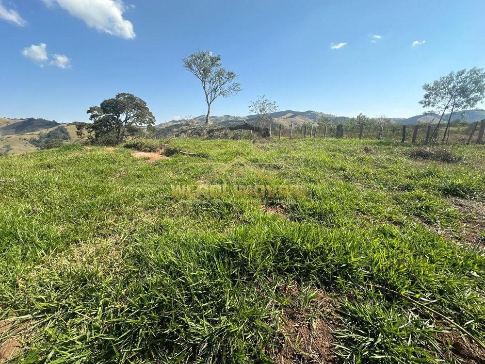 Terreno, 2 hectares - Foto 6